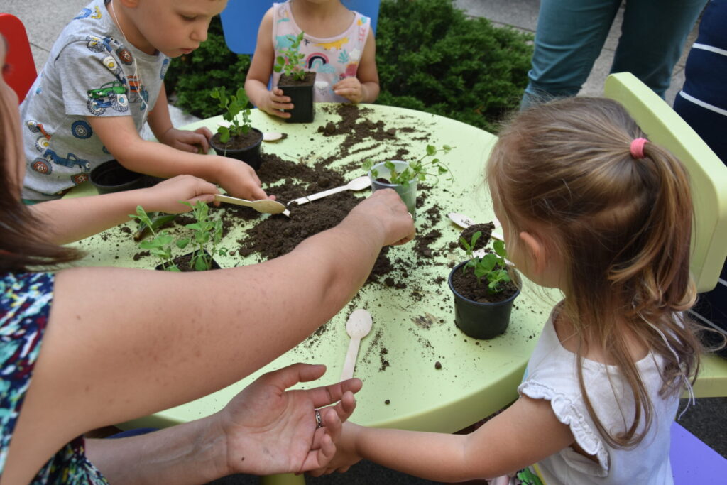 Dzieci sadzą rośliny