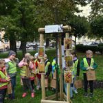 Rozstrzygnięcie konkursu na imię dla lipy