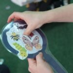 Z lupą na łące – poznajemy bioróżnorodność