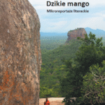 Paweł Kempa | Dzikie mango